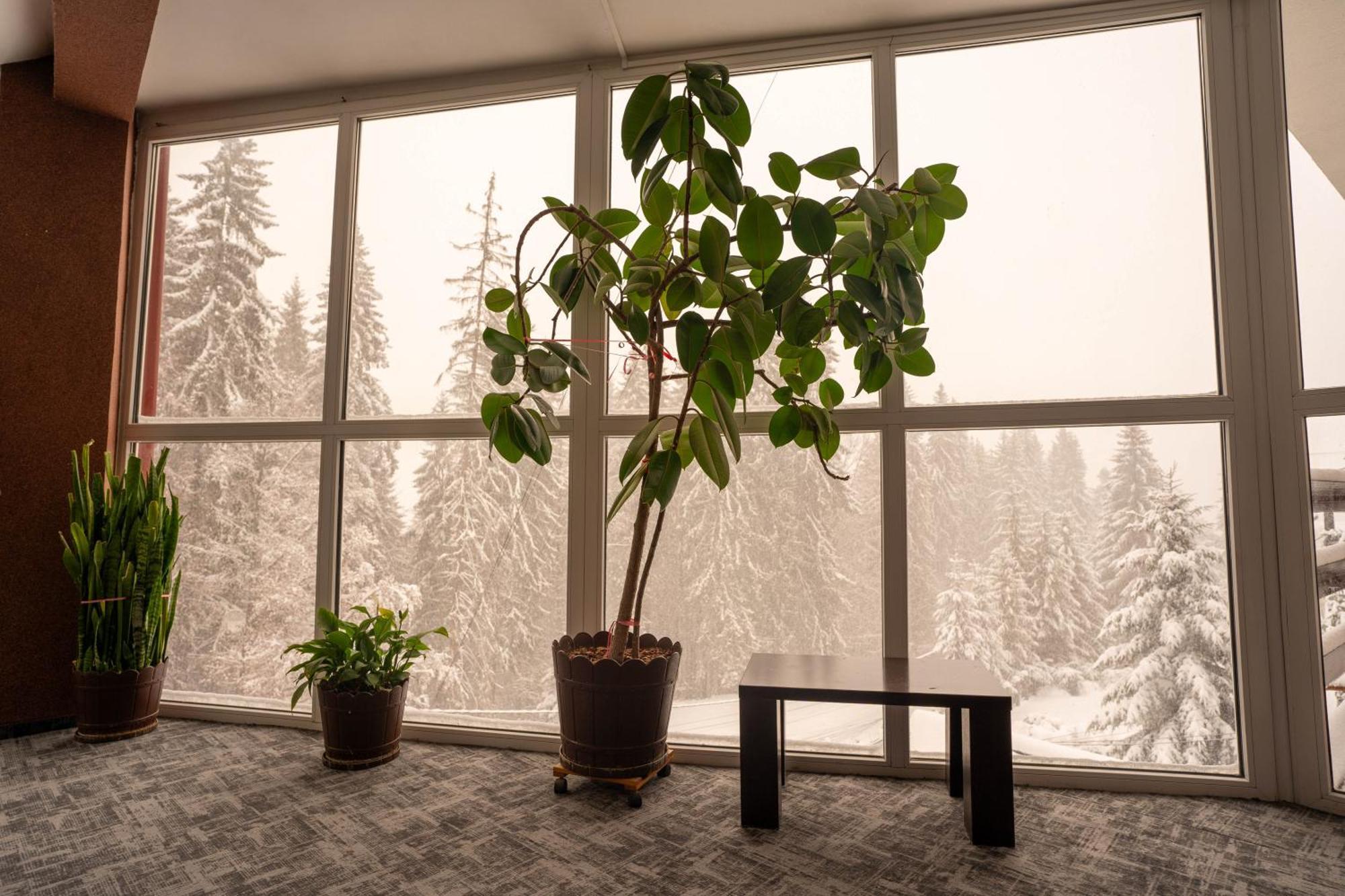 Villa Select Predeal Exteriér fotografie